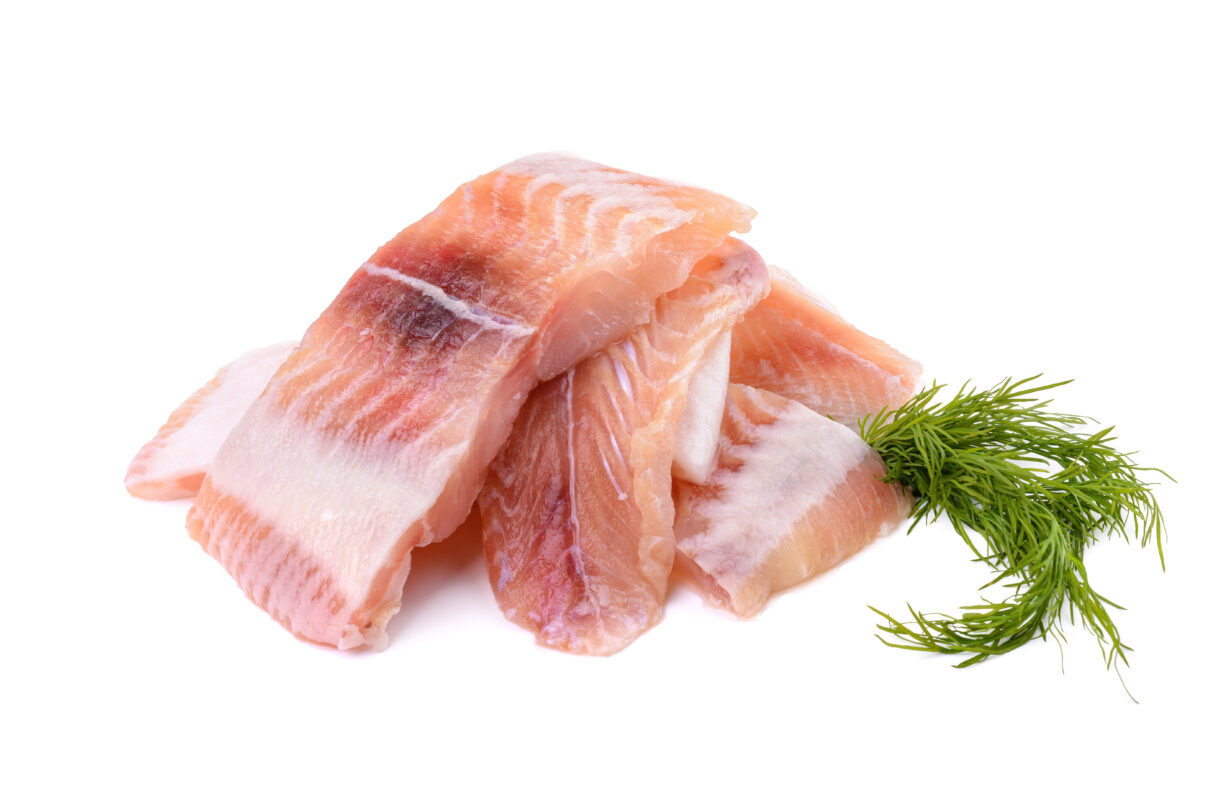 Pangasius fillet